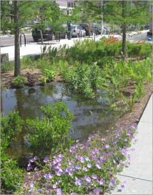 Before the Next Flood: NYC Needs More Progress Building Green Infrastructure