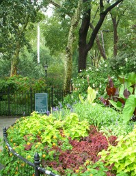 Fixing NYC Parks Capital Construction Process to Revitalize Aging Parks