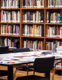 Harnessing NYC’s Public Libraries to Support Immigrants
