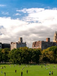 Enacting a Ticket Surcharge to Strengthen New York City’s Parks