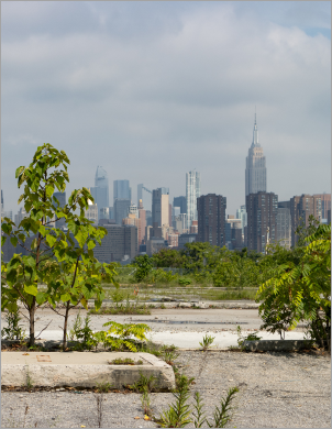 Capturing Real Estate Value to Generate Dedicated Funding for NYC’s Parks