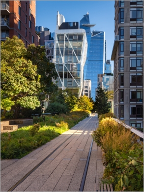 Unlocking Public-Private Partnerships to Help Support and Strengthen NYC’s Parks